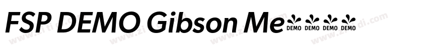 FSP DEMO Gibson Me字体转换 FSP DEMO Gibson Me字体转换